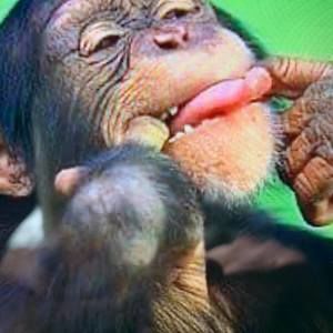 Meet your Posher, Marie